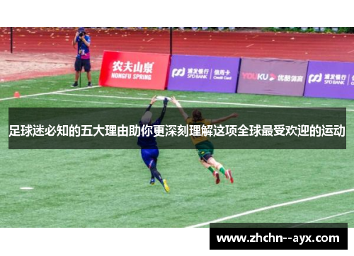 足球迷必知的五大理由助你更深刻理解这项全球最受欢迎的运动